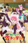 جميع حلقات انمي Murenase! Seton Gakuen مترجمة اونلاين و تحميل مباشر