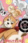جميع حلقات انمي Oda Cinnamon Nobunaga مترجمة اونلاين و تحميل مباشر