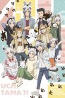 جميع حلقات انمي Uchi Tama?! Uchi no Tama Shirimasen ka? مترجمة اونلاين وتحميل مباشر