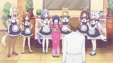 Image Nekopara