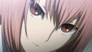 Image جميع مواسم Steins;Gate