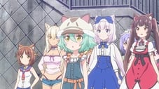 Image Nekopara