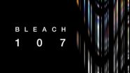 Image Bleach