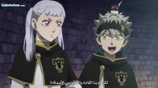 الصورة 