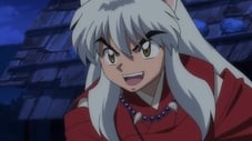 Image جميع مواسم Hanyou no Yashahime