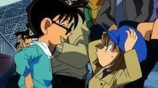 الصورة انمي بي باتل برست ايفولوشن الحلقة 35 مدبلجة اونلاين تحميل مباشر