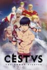 جميع حلقات انمي Cestvs: The Roman Fighter مترجمة اونلاين تحميل مباشر
