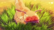 الصورة انمي One Piece الحلقة 253 مترجمة اونلاين تحميل مباشر