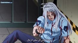 الصورة 
