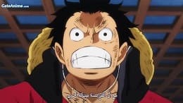 الصورة 
