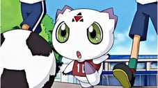 الصورة انمي أجنحة كاندام الحلقة 35 مدبلجة اونلاين تحميل مباشر