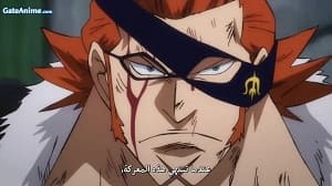 الصورة 
