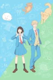 جميع حلقات انمي Skip to Loafer مترجمة اونلاين تحميل مباشر
