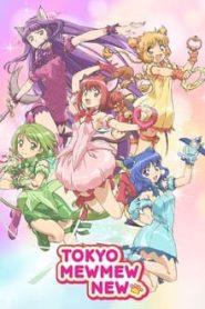 جميع مواسم انمي Tokyo Mew Mew New مترجمة