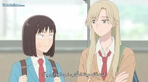 الصورة 