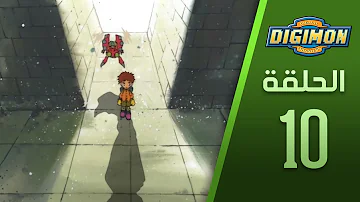الصورة 